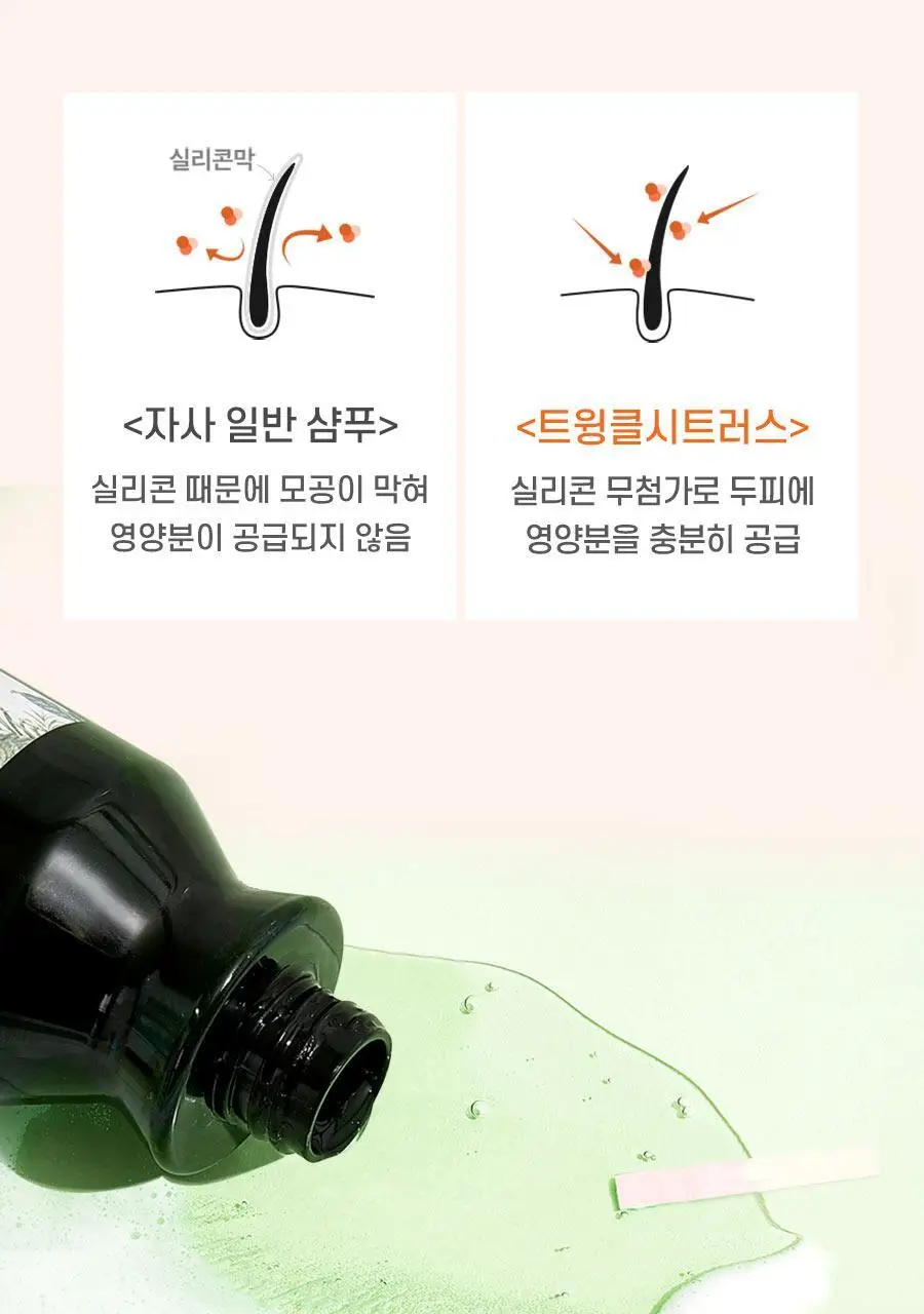 [트리트먼트 10매 증정] 스칼프 클렌징 샴푸 트윙클 시트러스 1,000ml 상세페이지 19
